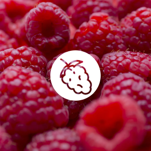 Raspberry