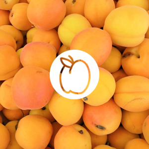 Apricot