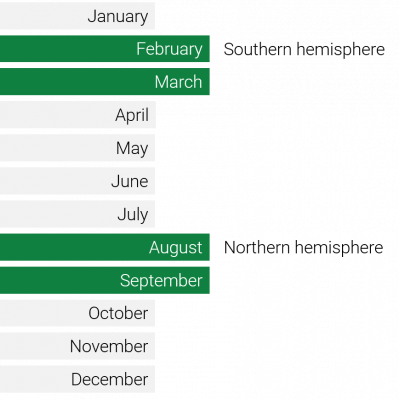 seasonality apple