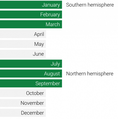 seasonality blackberry