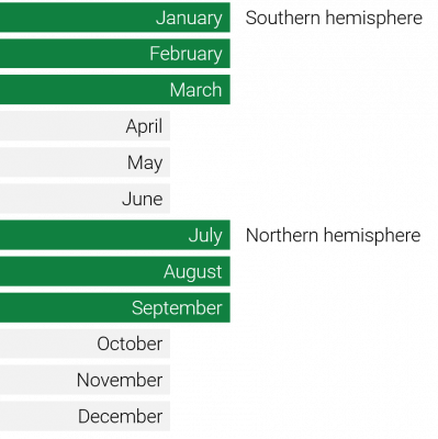 seasonality blueberry