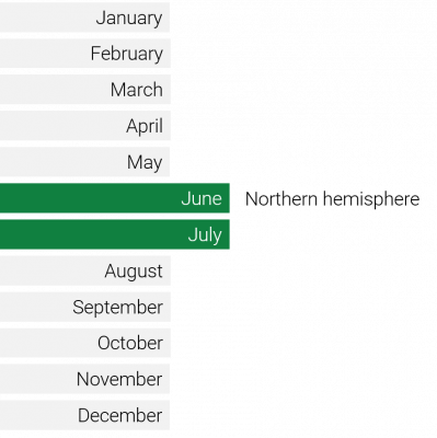 seasonality cherry